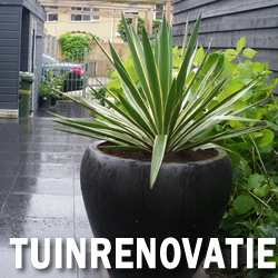 tuinrenovatie